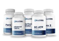 Comprehensive Protocol - Phase 2: Gut & Immune Support 
