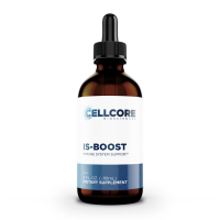 IS-BOOST